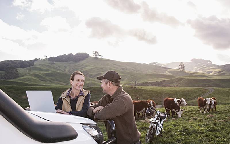 NZ Farm Work Absolute Immigration