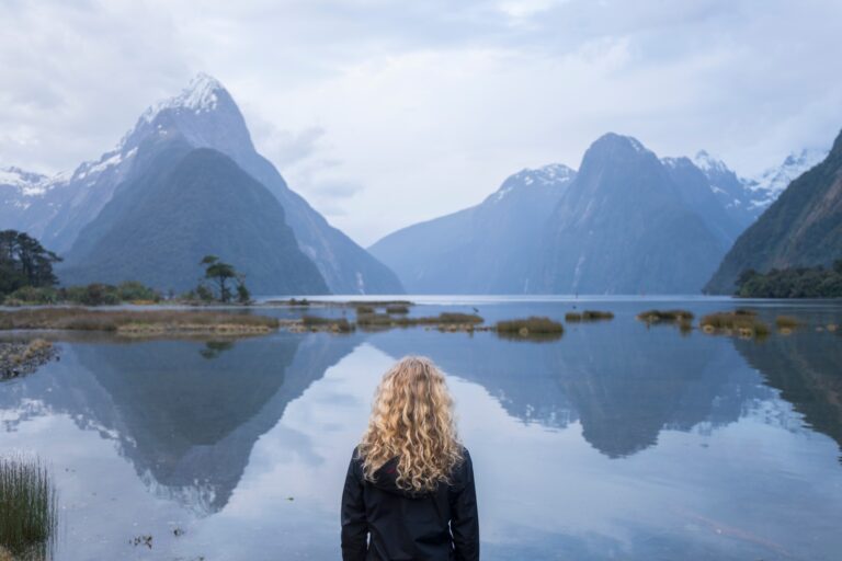 48 Milford Sound Will Patino 768x512 1