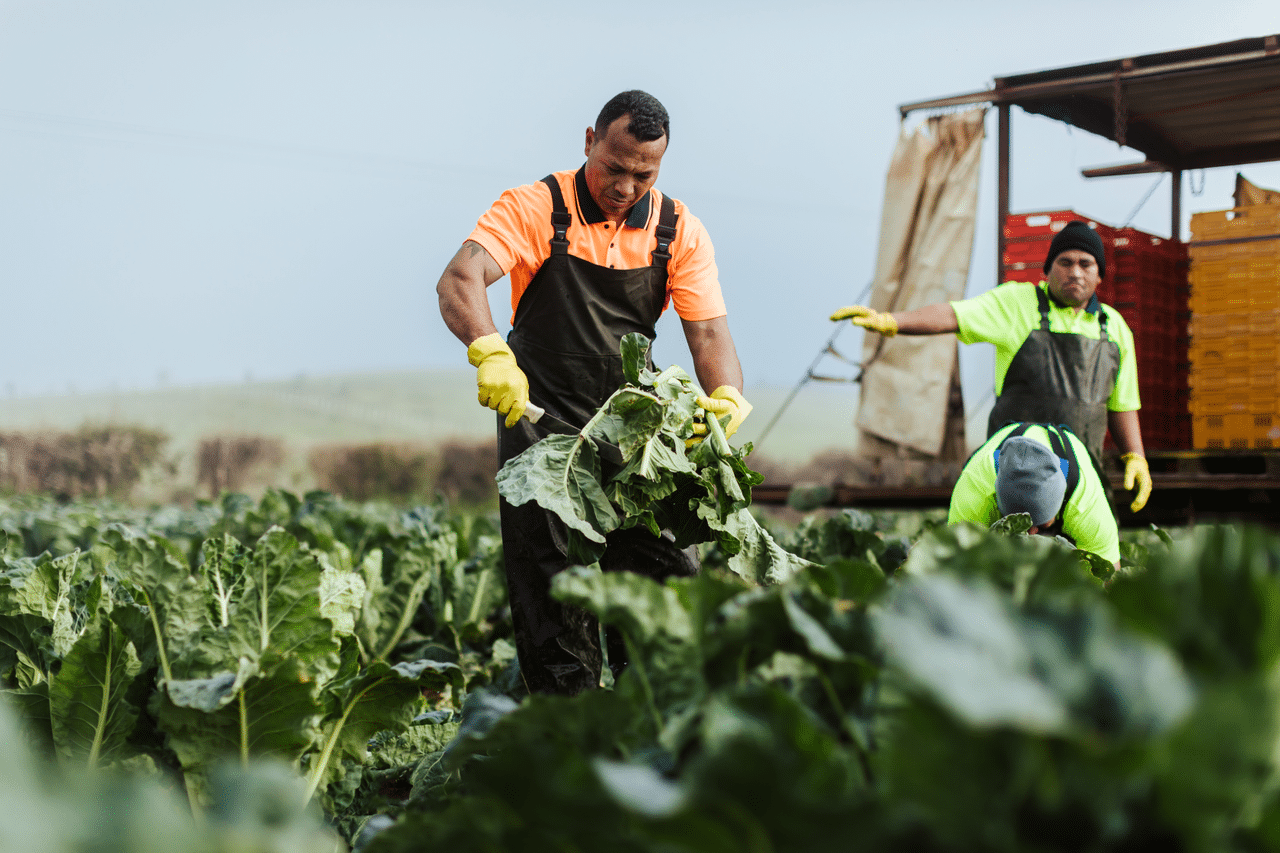 seasonal worker