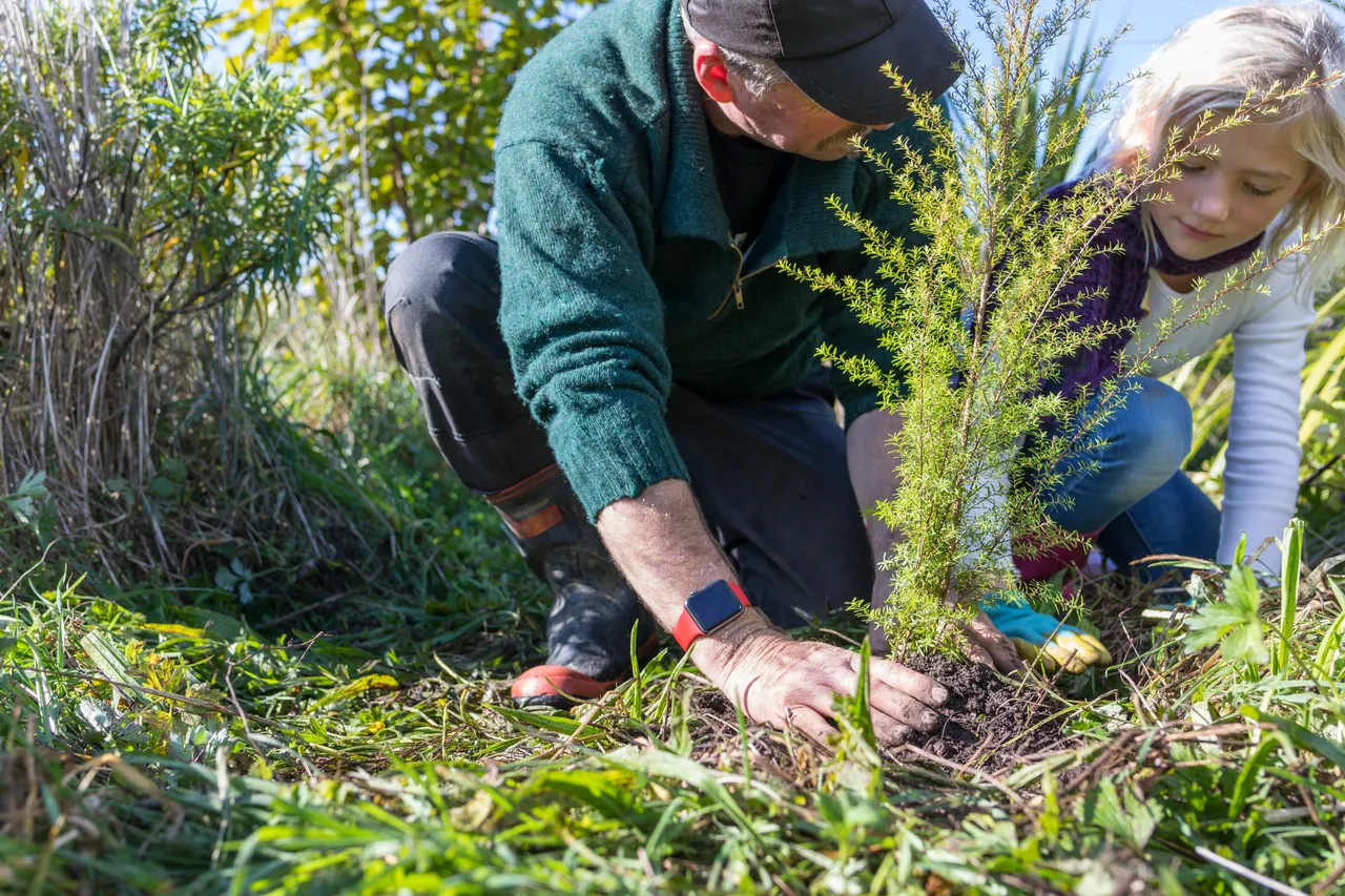 272716 planting native trees on the farm web 1280p
