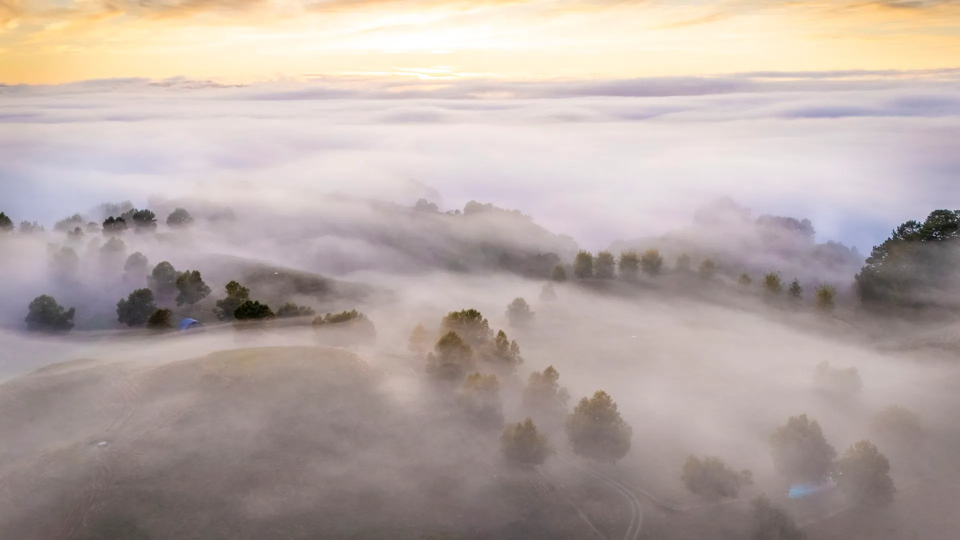 New Zealand Skilled Migrant Category changes confirmed for August 2026